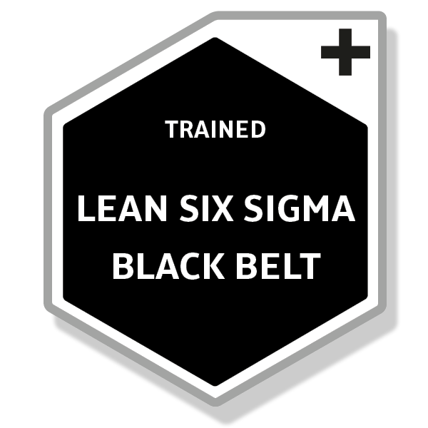 Lean Six Sigma Black Belt